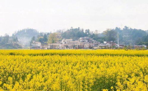 國內四大旅行寶藏省份，你都去過哪兒